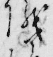 文字 儀