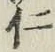 “仁”字