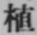 字植