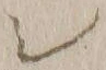 “シ”字