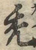 禿 위치 확인됨