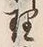 字理