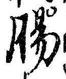 Đã định vị 腸