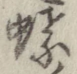 位置定マレル蝶