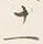 字十