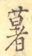 已定位薯