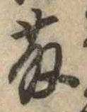 已定位藤