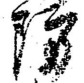 Đã định vị 防