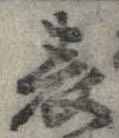 位置 確認된 表