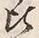 Character 比