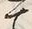 「ゝ」字