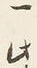 Chữ 一