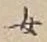 文字 女