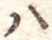 㐌定位𣗓檊