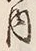 文字 内