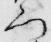 字門