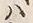 字疫