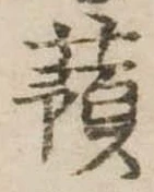 已定位蕷