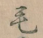 位置定マレル毛