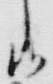 文字 ゆ