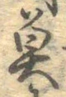 已定位魚