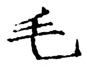 字毛