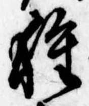 已定位種