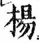 已定位楊