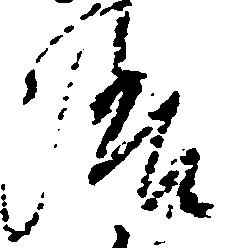 Đã định vị 洛