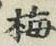 字梅