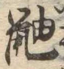 已定位鼬