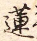 Đã định vị 蓮