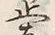 文字止