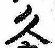 已定位久