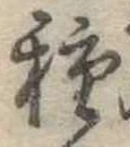 已定位種