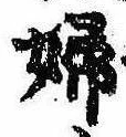 已定位婦