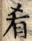 Đã định vị 肴