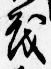 已定位茂
