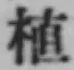 文字 植