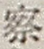 文字察