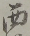 Character 西