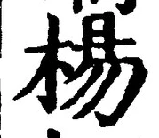 글자 楊