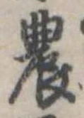Located 農