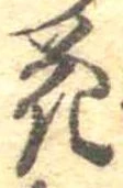 位置 確認된 花