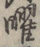 位置 確認된 曜