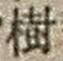 Chữ 樹