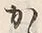 「ゝ」字