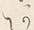 字あ