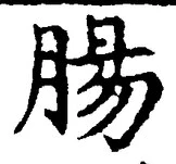 “腸”字