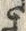 “訳”字